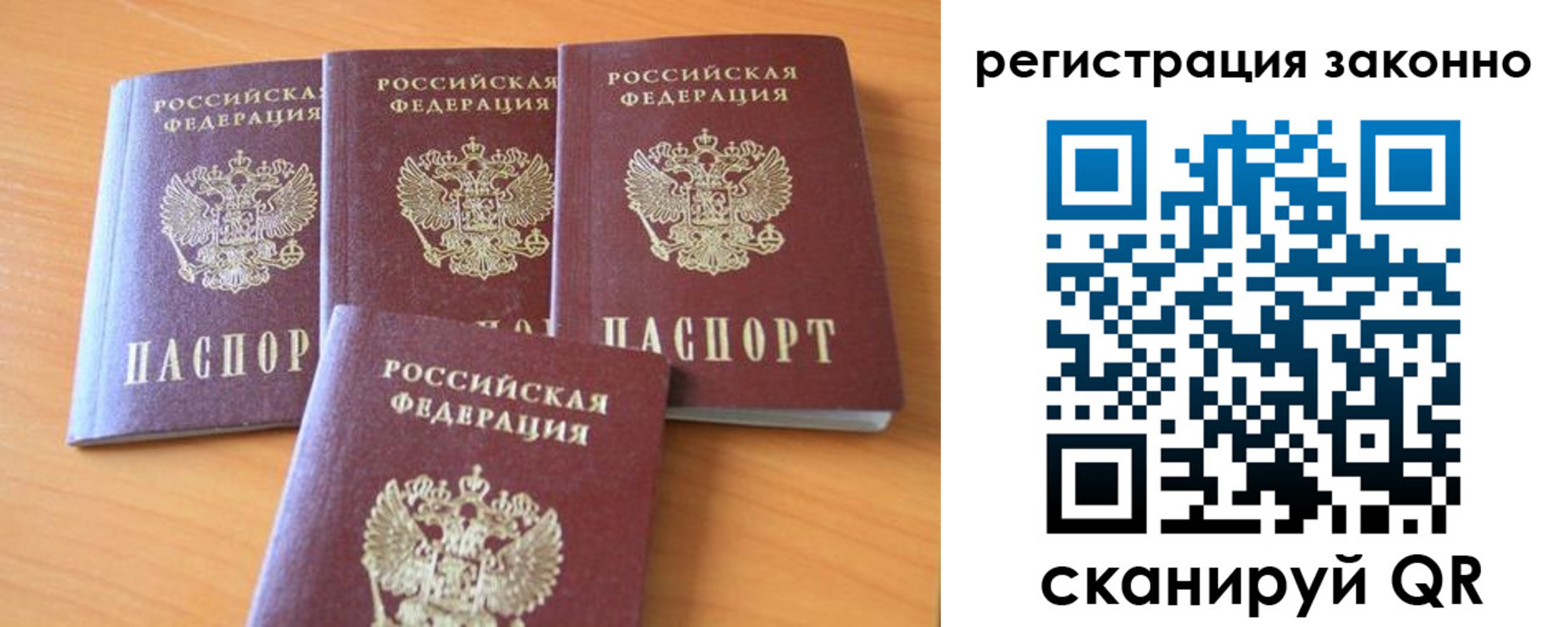 прописка законно в Ельне