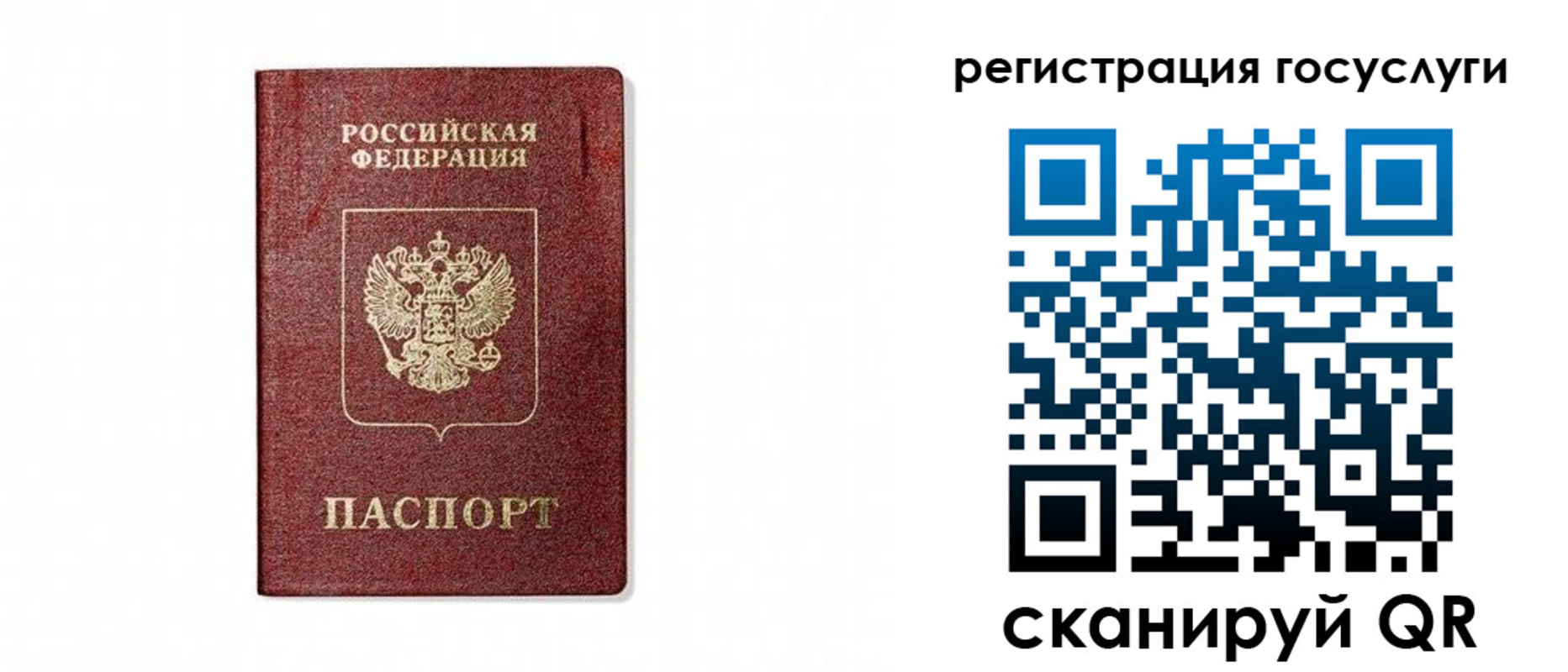 прописка паспорт в Ельне